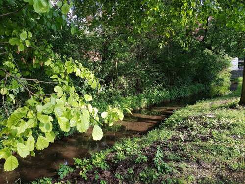 Foto - Wohnung zum Mieten in München 1.550,00 € 71.1 m²