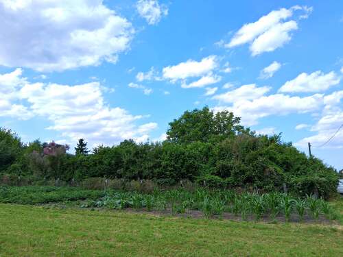 Foto - Grundstück zu verkaufen in Luckenwalde 265.000,00 € 1077 m²