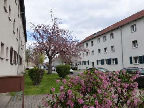 Foto - Wohnung zum Mieten in Merseburg 455,00 € 65 m²