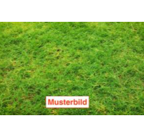 Grundstück zu verkaufen in München 1.650.000,00 € 680 m²