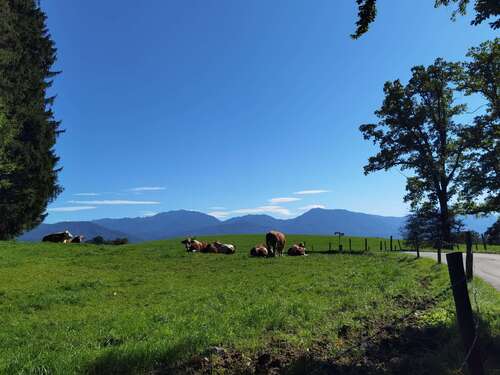 Foto - Haus zum Kaufen in Penzberg 2.600.000,00 € 215 m²