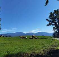 Haus zum Kaufen in Penzberg 2.600.000,00 € 215 m²