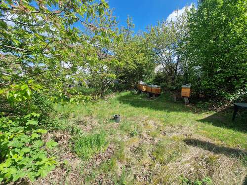 Foto - Grundstück zu verkaufen in Dreieich 589.094,00 € 530 m²