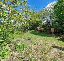 Grundstück zu verkaufen in Dreieich 589.094,00 € 530 m²