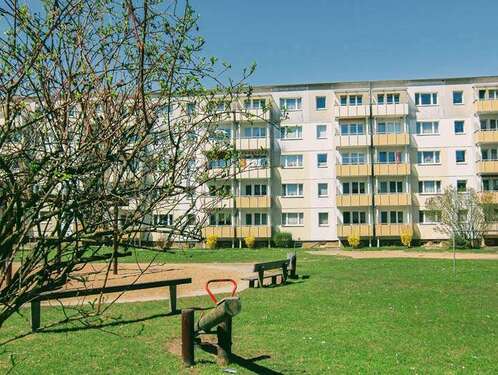 Foto - Wohnung zum Mieten in Prenzlau 345,00 € 49.57 m²