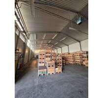 Halle in Hameln 5.750,00 € 1250 m²