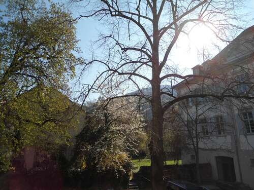 Foto - Wohnung zum Kaufen in Heidelberg 750.000,00 € 100 m²