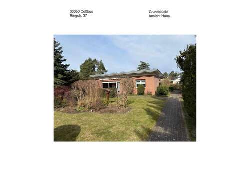 Foto - Haus zum Kaufen in Cottbus 350.000,00 € 102 m²