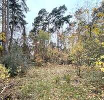 Grundstück zu verkaufen in Gifhorn 199.000,00 € 1301 m²