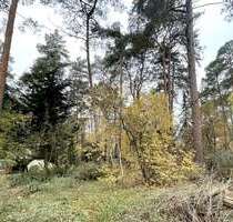 Grundstück zu verkaufen in Gifhorn 199.000,00 € 1301 m²