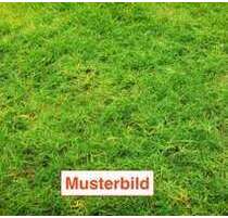 Grundstück zu verkaufen in Münster 800.000,00 € 1097 m²