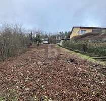 Grundstück zu verkaufen in Lieser 120.000,00 € 1173 m²