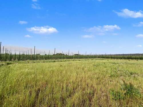 Foto - Grundstück zu verkaufen in Siegenburg 269.000,00 € 630 m²