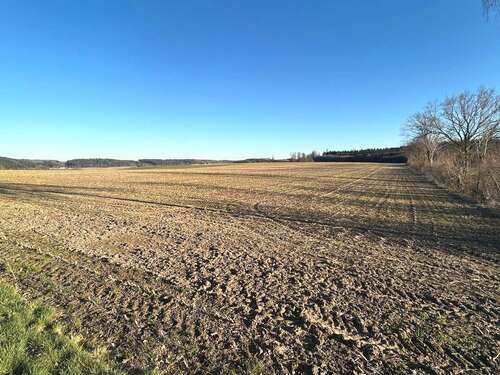 Foto - Grundstück in Waltenhausen Hairenbuch 259.000,00 € 32265 m²
