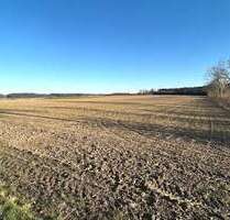 Grundstück in Waltenhausen Hairenbuch 259.000,00 € 32265 m² - Waltenhausen / Hairenbuch