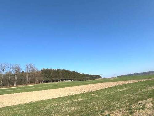 Foto - Grundstück in Kirchhaslach Herretshofen 329.000,00 € 54883 m²