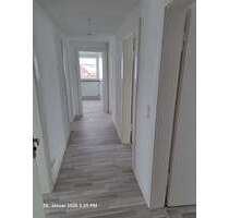 Wohnung zum Mieten in Lindhorst 570,00 € 60 m²