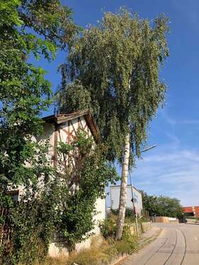 Foto - Wohnung zum Mieten in Bayerbach bei Ergoldsbach 450,00 € 31 m²