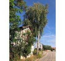 Wohnung zum Mieten in Bayerbach bei Ergoldsbach 450,00 € 31 m²