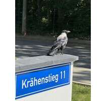 Wohnung zum Mieten in Magdeburg 693,00 € 77 m²