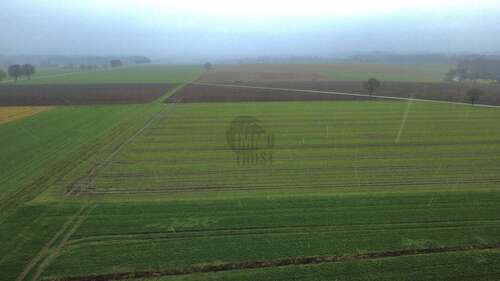 Foto - Grundstück zu verkaufen in Bassum 79.900,00 € 1200 m²