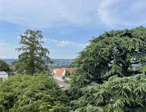 Foto - Grundstück zu verkaufen in Aschaffenburg 1.250.000,00 € 830 m²