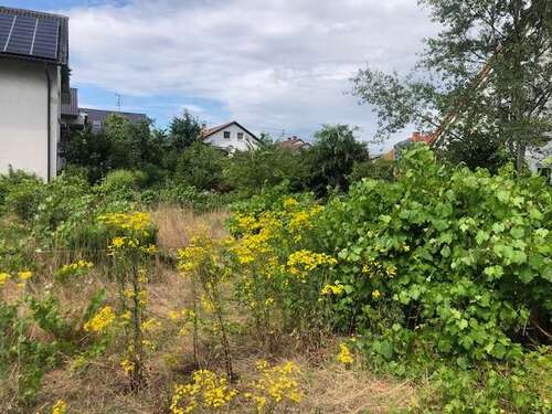 Foto - Grundstück zu verkaufen in Walldorf 598.000,00 € 567 m²