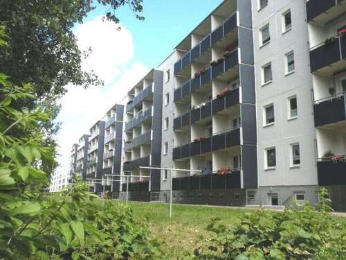 Foto - Wohnung zum Mieten in Stralsund 288,64 € 43.08 m²