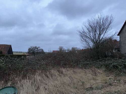 Foto - Grundstück zu verkaufen in Tribsees 32.000,00 € 986 m²