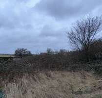 Grundstück zu verkaufen in Tribsees 32.000,00 € 986 m²