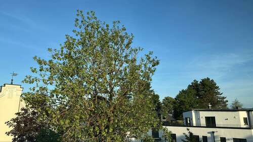 Foto - Grundstück zu verkaufen in Germering 1.600.000,00 € 1300 m²