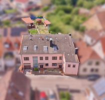 Haus zum Kaufen in Frankweiler 749.000,00 € 368 m²