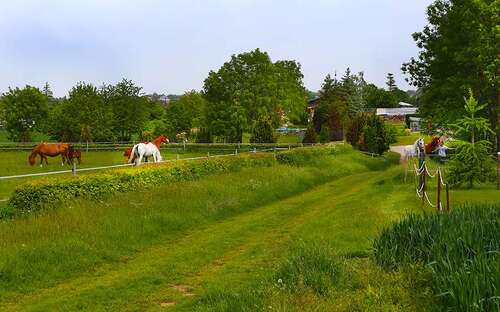 Foto - Wohnung zum Mieten in Helbra 315,00 € 44.67 m²