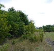 Grundstück zu verkaufen in Ludwigslust 700.000,00 € 20727 m²