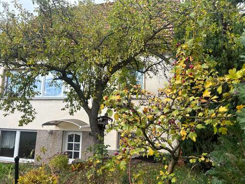 Foto - Haus zum Kaufen in Erfurt 398.000,00 € 105 m²