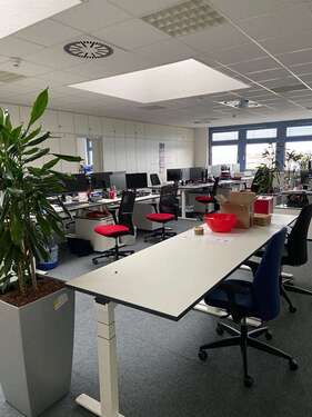Foto - Büro in Worms 4.935,00 € 705 m²