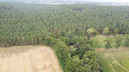 Foto - Grundstück zu verkaufen in Groß Gottschow 75.000,00 € 43185 m²