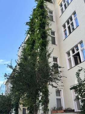 Foto - Wohnung zum Kaufen in Berlin 1.350.000,00 € 194 m²