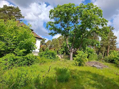 Foto - Grundstück zu verkaufen in Oranienburg 275.000,00 € 731 m²