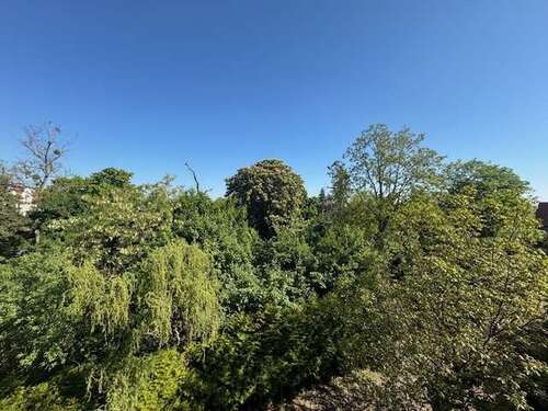 Foto - Wohnung zum Mieten in Magdeburg 1.000,00 € 65 m²