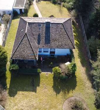 Foto - Haus zum Kaufen in Schlangen 349.000,00 € 128 m²