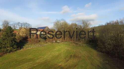 Foto - Grundstück zu verkaufen in Heinersreuth 130.000,00 € 6691 m²