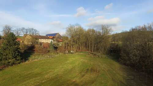 Foto - Grundstück zu verkaufen in Heinersreuth 98.000,00 € 6691 m²