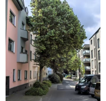 Wohnung zum Mieten in Essen 670,00 € 95 m²