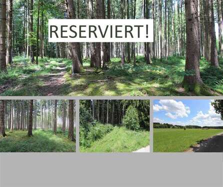 Foto - Spezialgewerbe in Dießen a. Ammersee 49.000,00 €