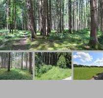 Spezialgewerbe in Dießen a. Ammersee 68.000,00 €