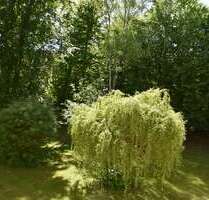 Wohnung zum Kaufen in Berlin 470.000,00 € 83 m²