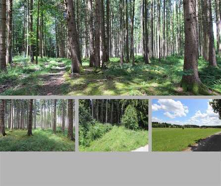 Foto - Grundstück in Dießen a. Ammersee 68.000,00 € 7980 m²