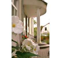 Wohnen auf Zeit in GlienickeNordbahn 1.500,00 € - Glienicke/Nordbahn