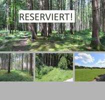 Grundstück zu verkaufen in Dießen a. Ammersee 49.000,00 € 7980 m²